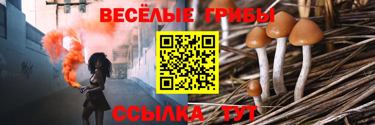  Cocaine Кимовск