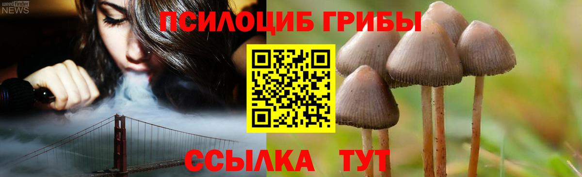 Псилоцибиновые грибы Psilocybe  Вход с VPN  купить наркотик  Кимовск 